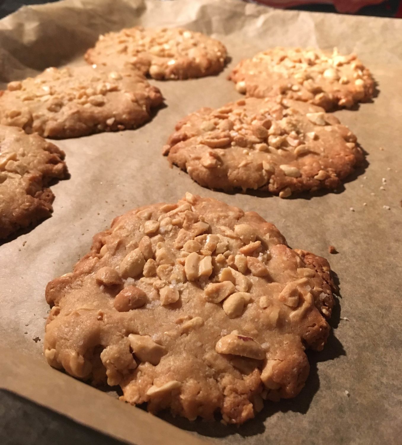 Gesalzene Erdnuss-Cookies - NichtFisch // NichtFleisch