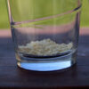 UNMILK DIY Haferdrink Pulver im Glas